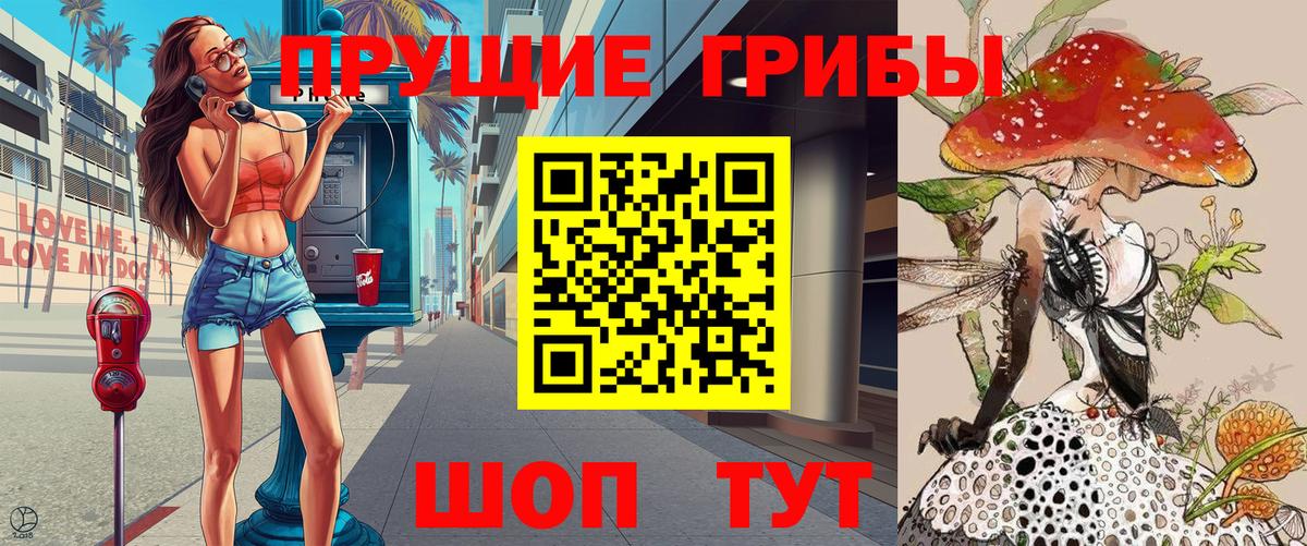 Галлюциногенные грибы Psilocybe Бутурлиновка